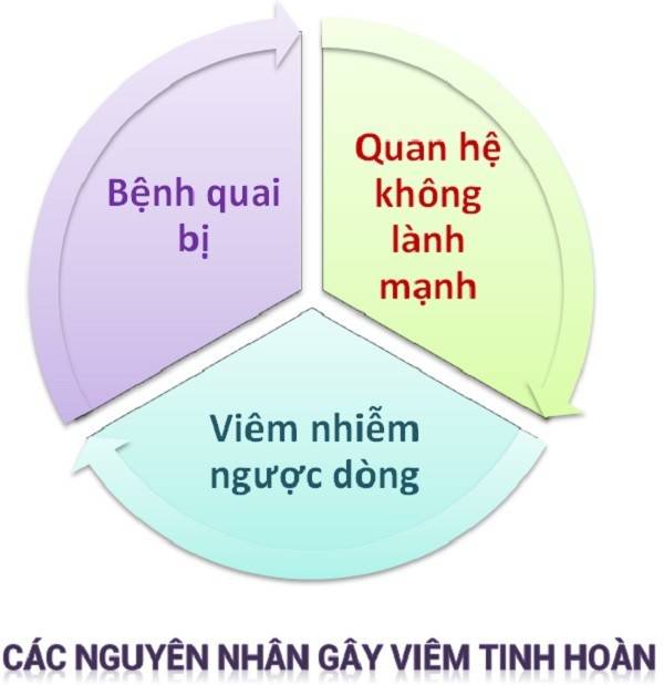 Viêm tinh hoàn và những biến chứng tai hại