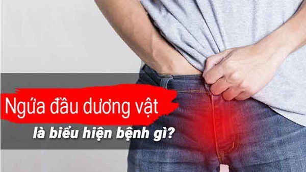 Dương vật bị ngứa do đâu?
