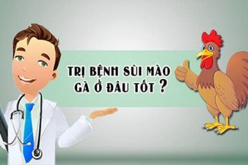 Địa chỉ chữa, điều trị sùi mào gà uy tín tại Hà Nội