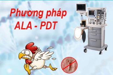 BỆNH SÙI MÀO GÀ Ở ÂM ĐẠO CÓ NHỮNG BIỂU HIỆN NHƯ THẾ NÀO?