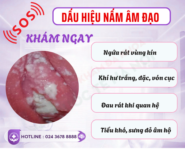 ly-giai-nguyen-nhan-vi-sao-chua-benh-nam-am-dao-mai-khong-khoi